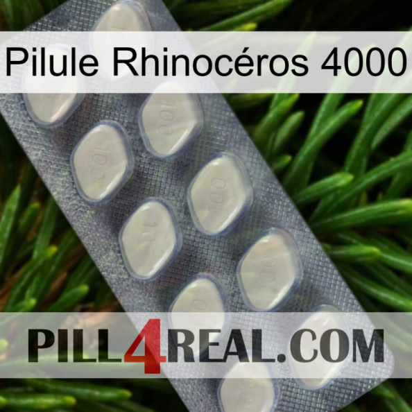 Pilule Rhinocéros 4000 08